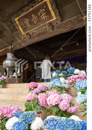 參觀Sogo Reido June的風景 53791166