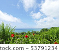 Ishigakijima Tamazusaki天文台 53791234