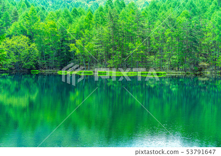 Oshikaike early summer [Nagano Prefecture] 53791647