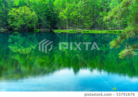 Oshikaike初夏[長野縣] 53791678