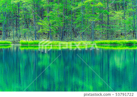 Oshikaike初夏[長野縣] 53791722