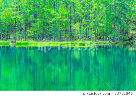 Oshikaike early summer [Nagano Prefecture] 53791846