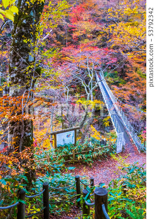 Oyama waterfall Autumn leaves Oyama Oyama waterfall Autumn leaves Oyama 53792342