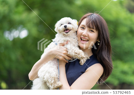 寵物狗 53792465