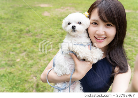 寵物狗狗自拍照 53792467
