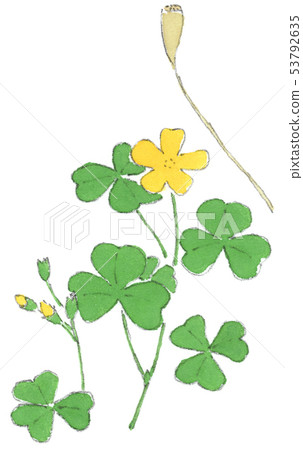 Katabi Katabi 53792635