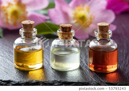 Bottles of essential oil with fresh dog rose 53793243
