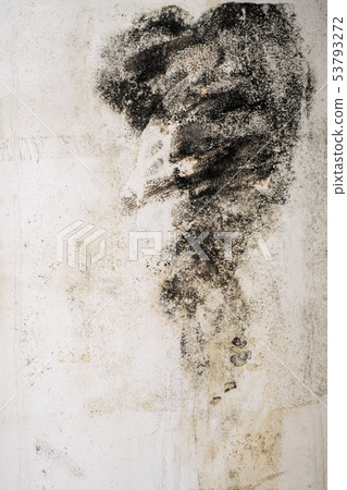 Big wet spots and black mold on the wall of the Big wet spots and black mold on the wall of the 53793272