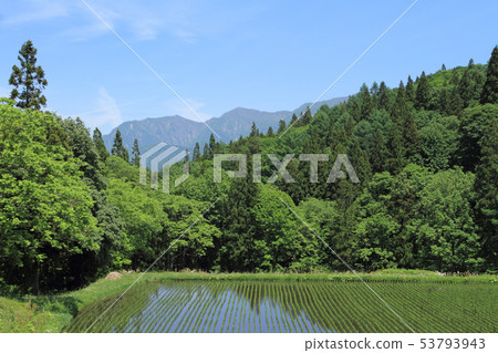 Satoyama and Tanada in early summer 53793943