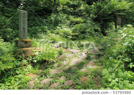 Sengoku Kaido Hiroho Shimizu Sengoku Kaido Hiroho Shimizu 53793980