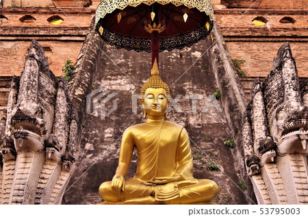 在泰國佛教寺廟與金色的佛像[泰國，清邁] 53795003