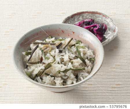 Wild vegetable owl 53795676