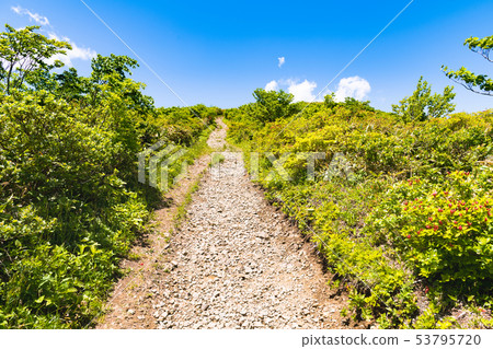 Mt. Yudani mountain trail Hanahana course entrance Mt. Yudani mountain trail Hanahana course entrance 53795720