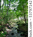 Brook of the plateau 53797142
