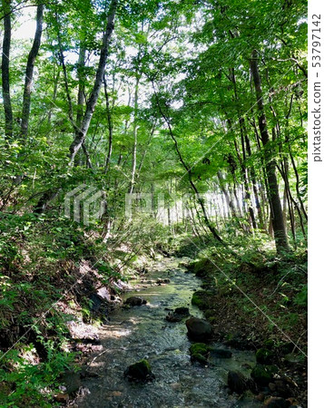 Brook of the plateau Brook of the plateau 53797142