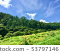 Flower garden of the plateau 53797146
