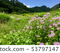 Flower garden of the plateau 53797147