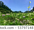 Flower garden of the plateau 53797148