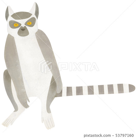 Hand-painted animal Ring-tailed lemur 53797160