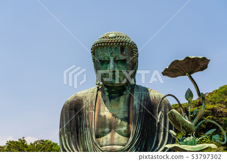 Kamakura Daibutsu Kotokuin Kamakura Daibutsu Kotokuin 53797302