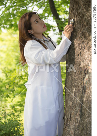 Environmental Research Institute 53797696