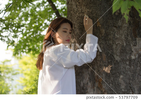 Environmental Research Institute 53797709