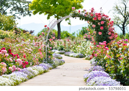  英國花園 53798031