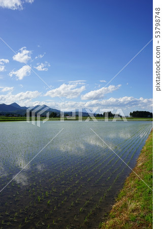 從稻田看見的岩手山 從稻田看見的岩手山 53798748