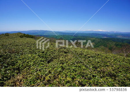 Hakusan and Kasumigatake from the summit of Mount Kawakami 53798836