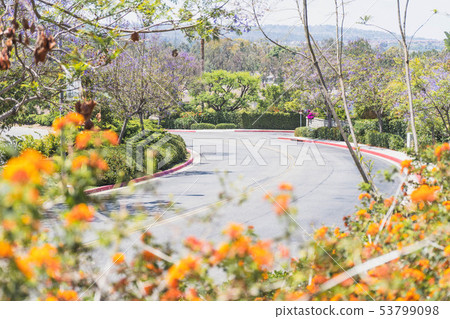 一座小山，有一座美麗的花山 53799098