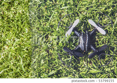 quadcopter grid grass background nobody  53799155