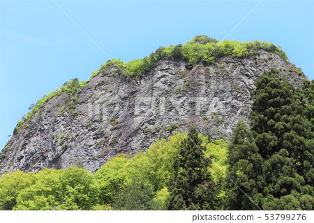 Yagigahana（新潟縣三條市） 53799276