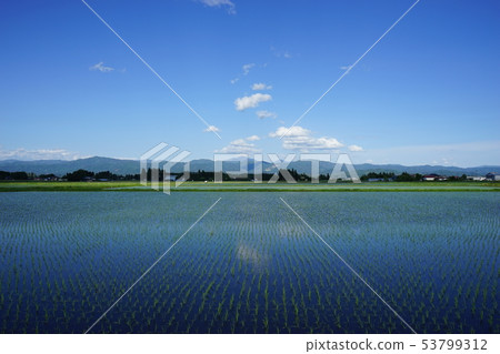 從稻田看見的Hayaike礦 從稻田看見的Hayaike礦 53799312