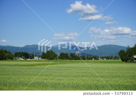 從稻田看見的Hayaike礦 從稻田看見的Hayaike礦 53799313