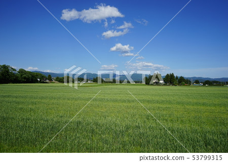 Hayaike Mine seen from rice fields Hayaike Mine seen from rice fields 53799315