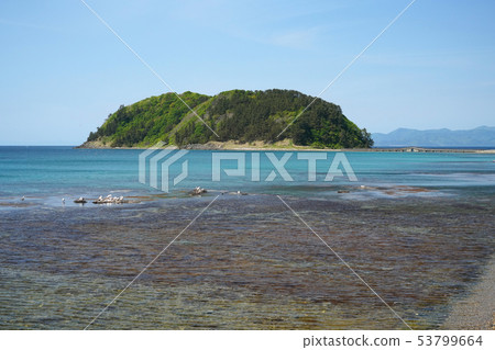 Natsutomari Peninsula Oshima 53799664