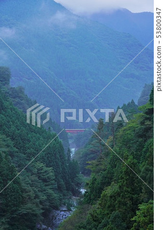 日本的原始風景（德島，Iya地區） 53800347