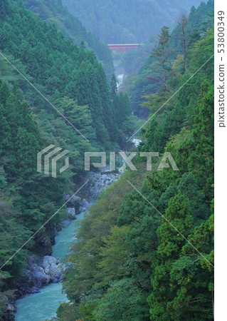 日本的原始風景(德島,Iya地區) 日本的原始風景(德島,Iya地區) 53800349