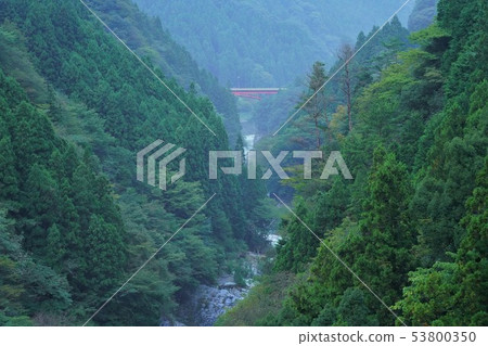 日本的原始風景(德島,Iya地區) 日本的原始風景(德島,Iya地區) 53800350