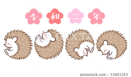 Hedgehog-Royal Hedgehog-Royal 53801263