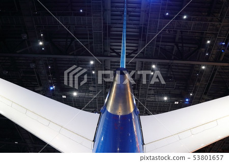 FLIGHT OF DREAMS 6 53801657