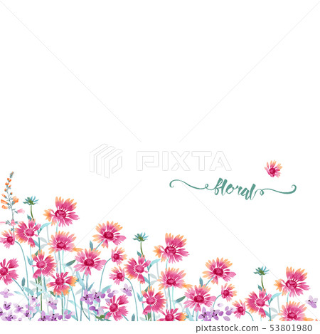 Beautiful Watercolor Small Flowers Beautiful Watercolor Small Flowers 53801980