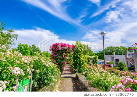 群馬花卉公園/ Barafesta 53802770