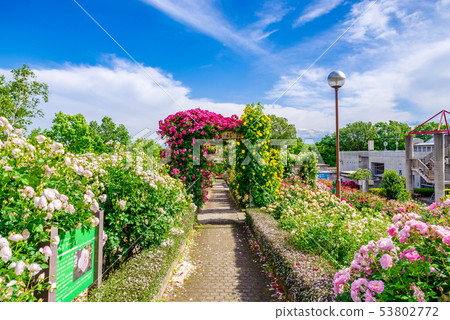 群馬花卉公園/ Barafesta 53802772