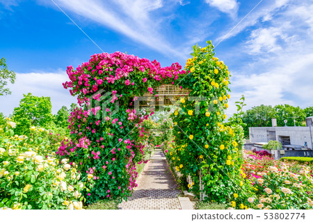 群馬花卉公園/ Barafesta 53802774