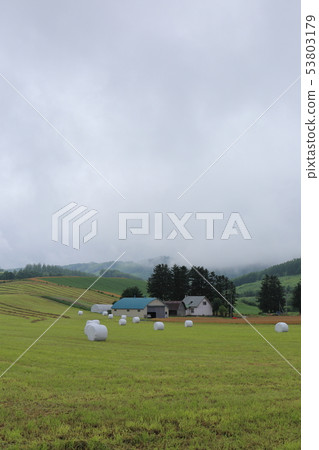Rural scenery in the Furano region of Hokkaido Rural scenery in the Furano region of Hokkaido 53803179