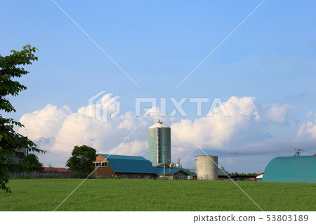 北海道十勝地區的農場風景 53803189
