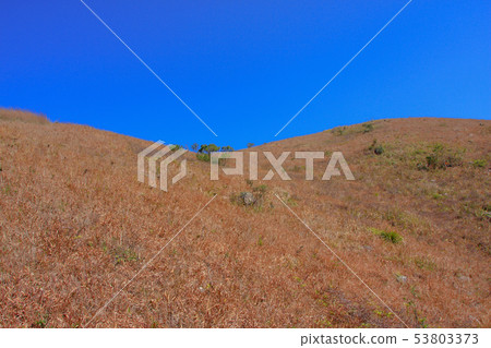 11 Jan 2009 Ma On Shan Country Park hk 11 Jan 2009 Ma On Shan Country Park hk 53803373