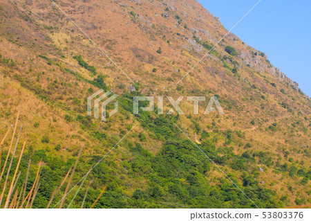 11 Jan 2009 Maclehose Trail hong kong 53803376