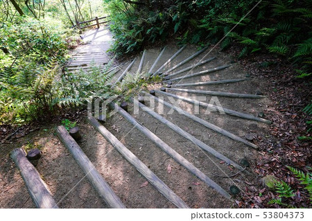 Stairway to Mt. Shirataki Stairway to Mt. Shirataki 53804373